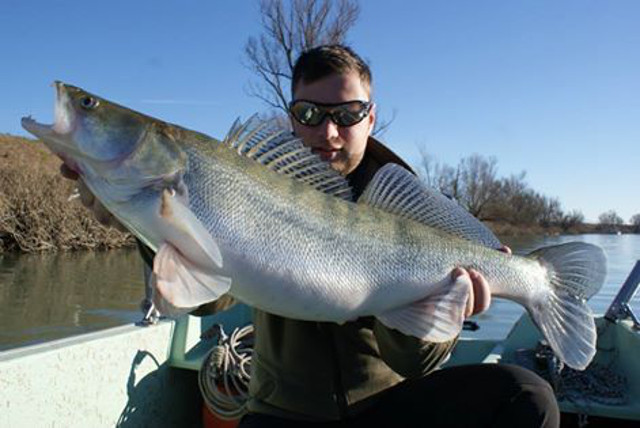 Zander Jänner 2015 - Po Delta