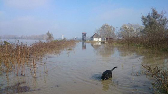 Hochwasser Po November 2014