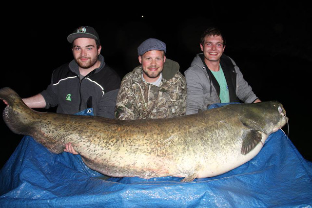 Toller Steg-Fisch von der Gruppe Fuchs!