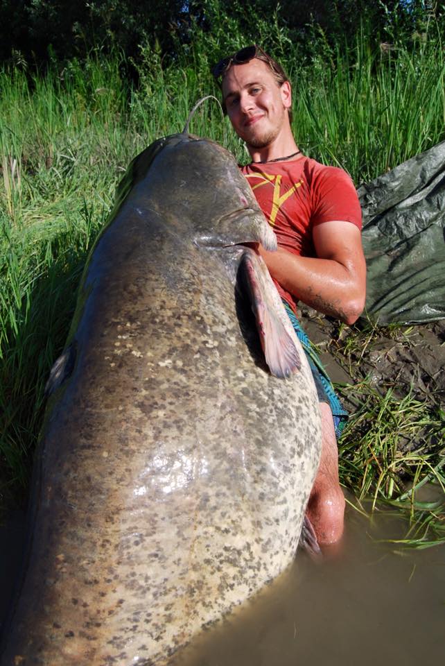 238 cm Waller